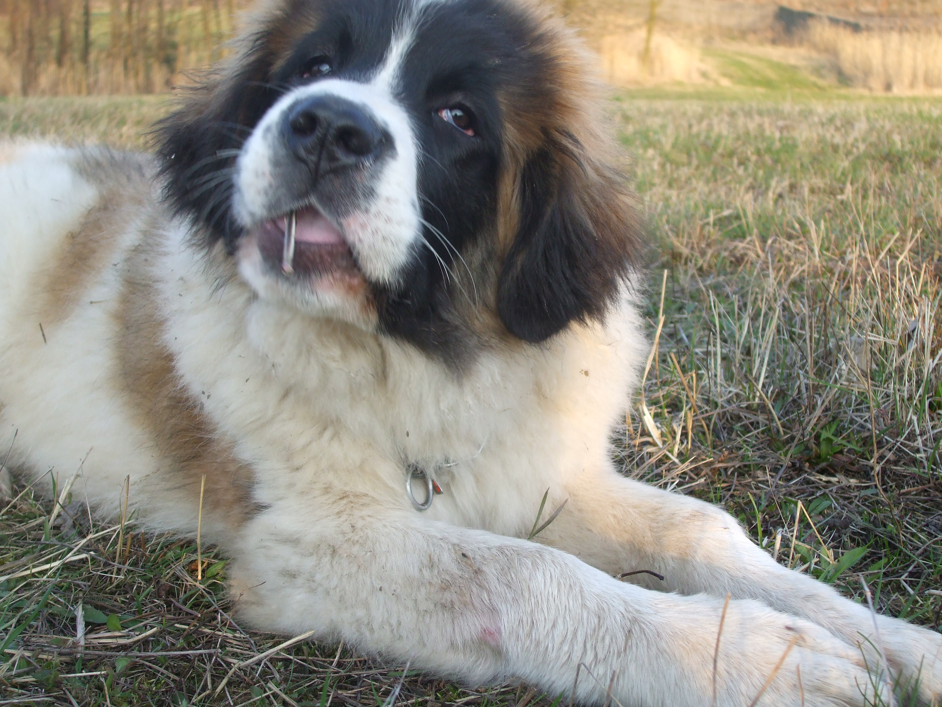 2008-2009 200.jpg