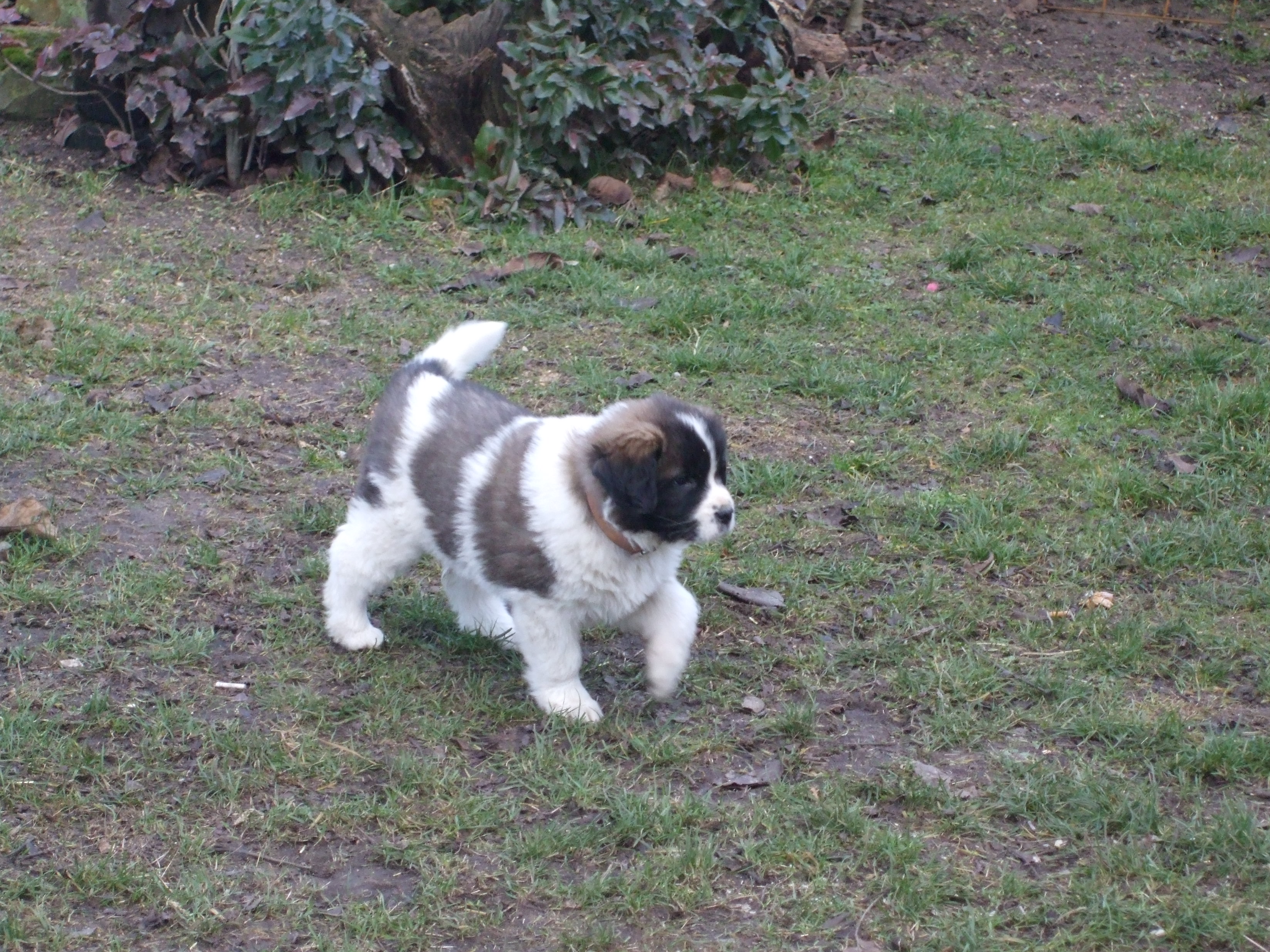 2008-2009 095.jpg