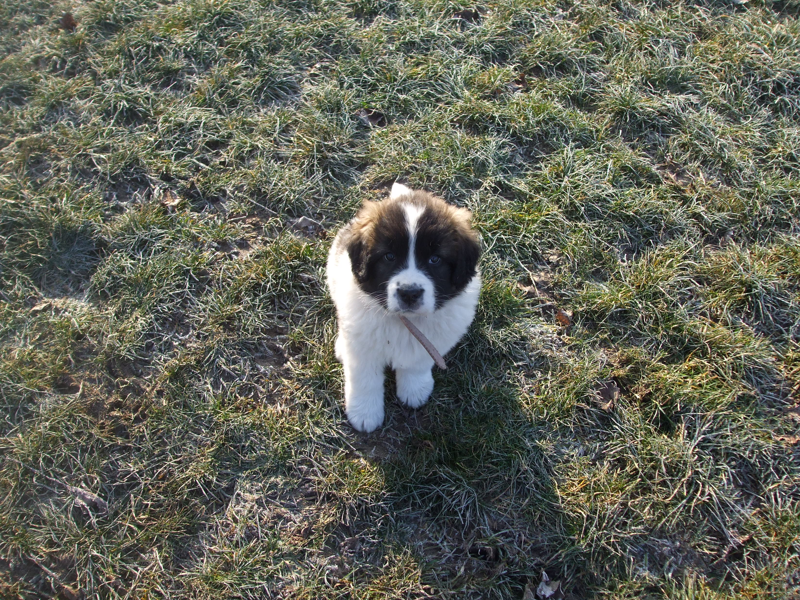 2008-2009 106.jpg
