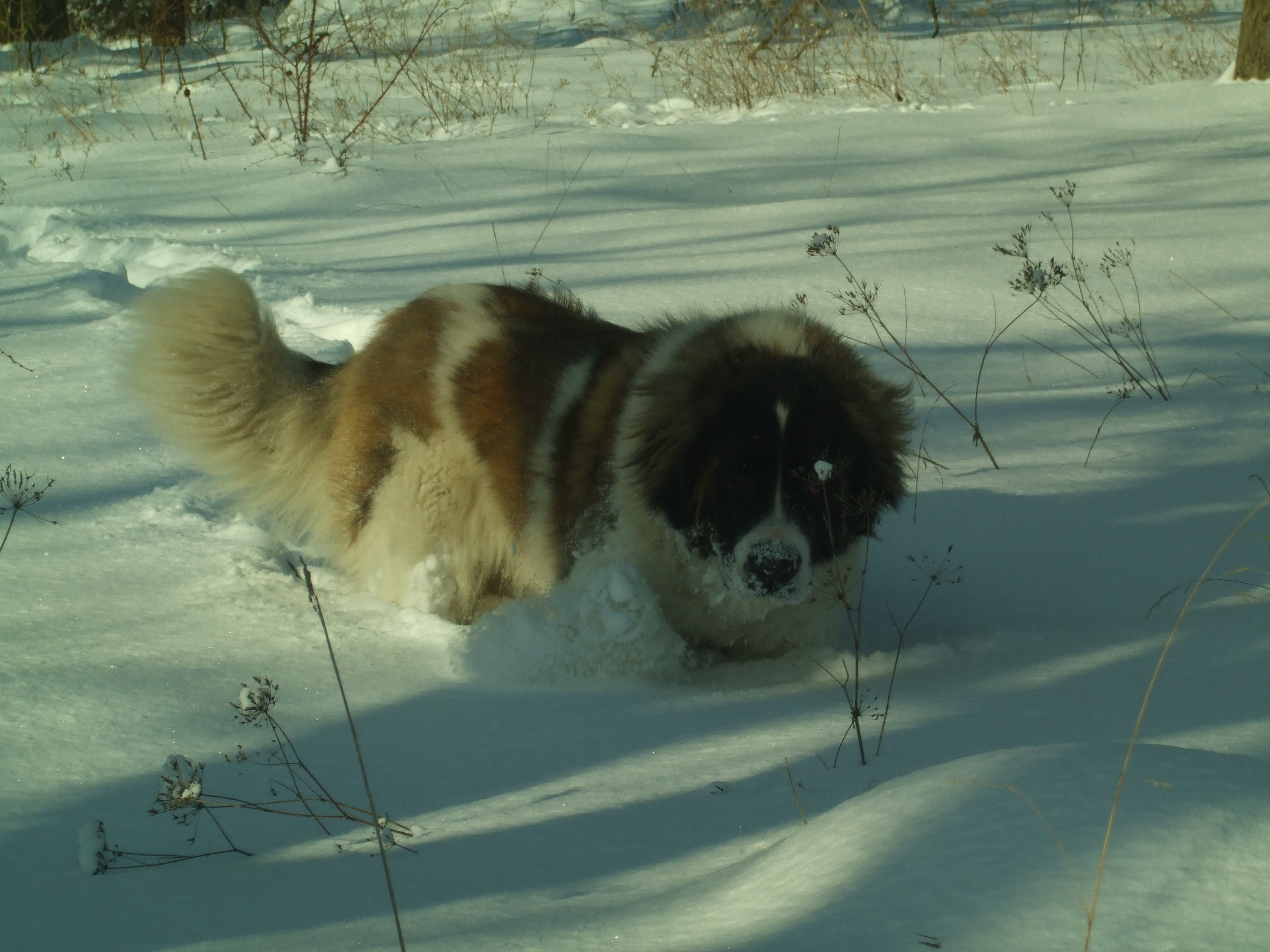 30.1,2010 015.jpg