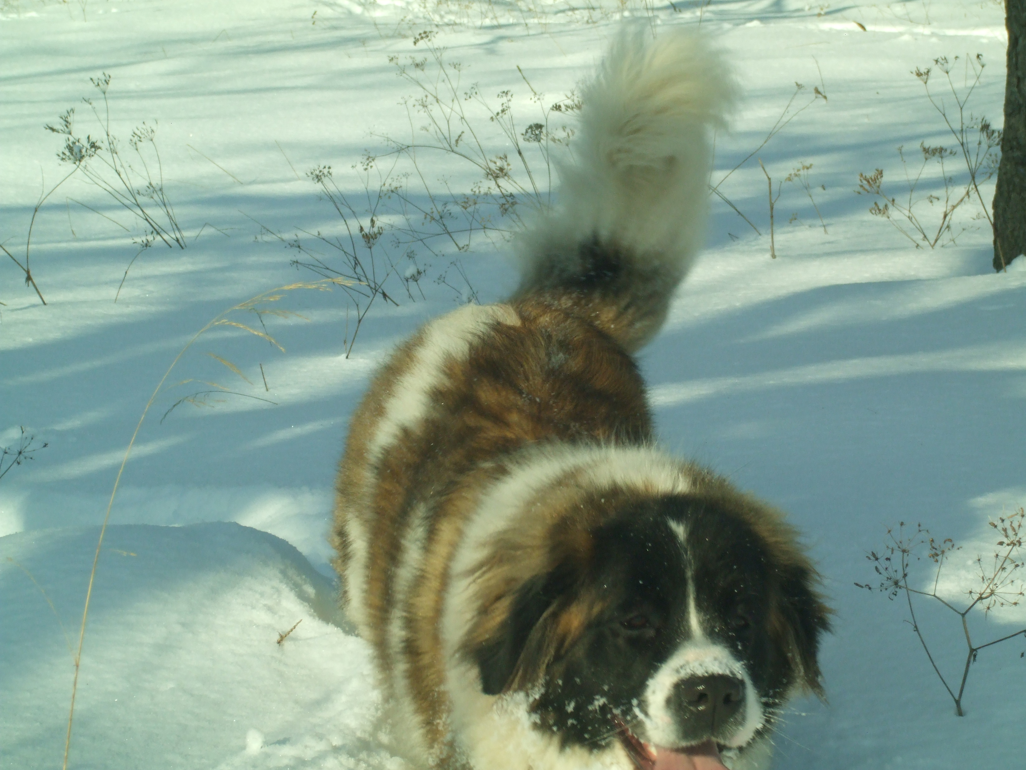 30.1,2010 016.jpg